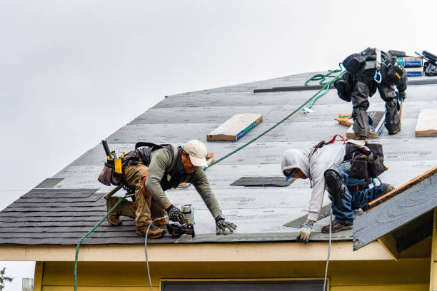 Professional Gutter Installation technician working in Pinewood, FL
